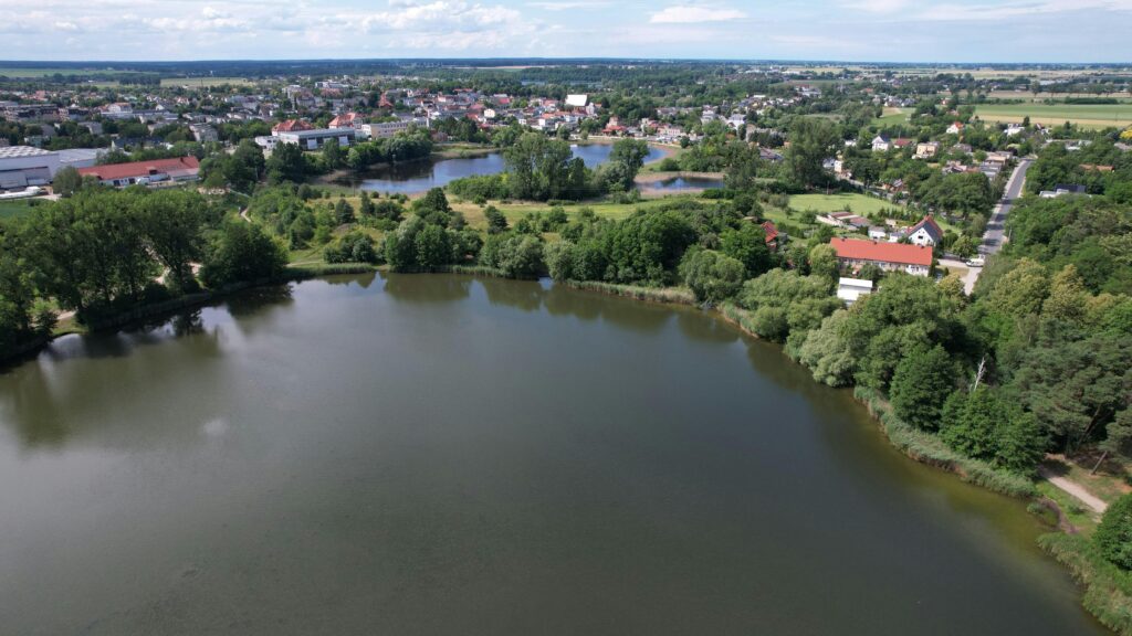 Drone shot of a beautiful lakeside town surrounded by lush greenery and serene water.